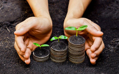 Le radici della Prosperità
