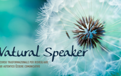 NATURAL SPEAKER ©